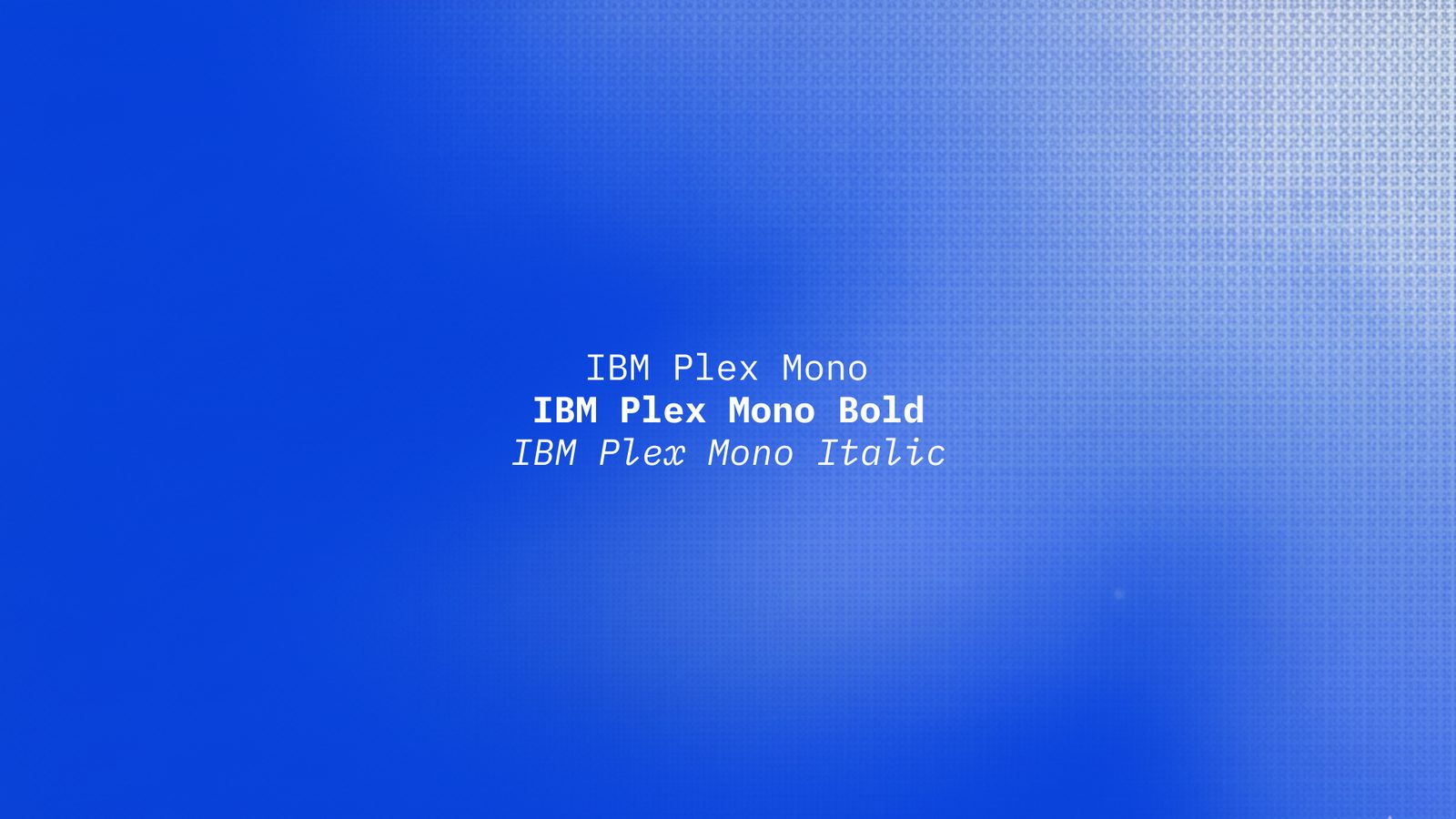 IBM Plex Mono in regular, bold and italic, the supporting typeface